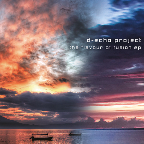 D-Echo Project - The flavour of fusion