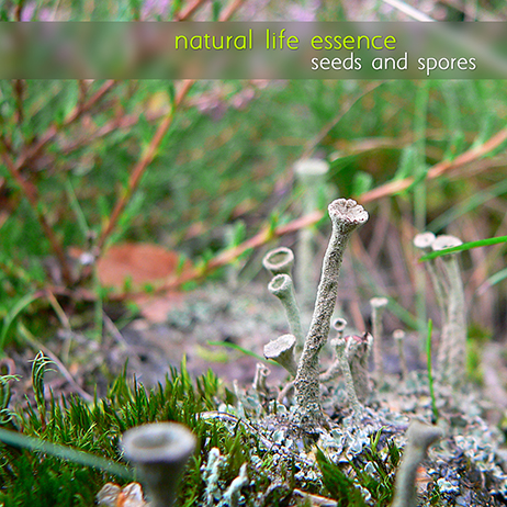 Natural Life Essence - Seeds and spores