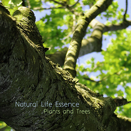Natural Life Essence - Plants and Trees